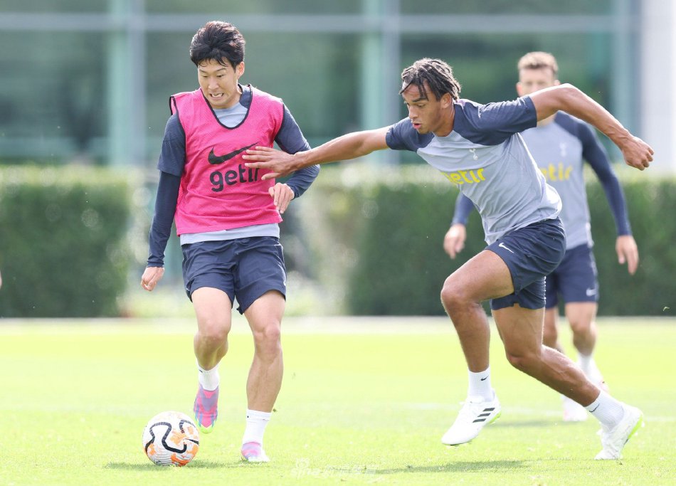 温和的外表 温和的外表